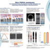 Dialyseur  Toray NF 1.8H – Image 3